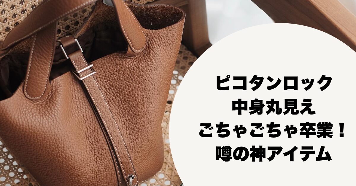 ピコタンロックの中身丸見え・ごちゃごちゃ卒業！噂の神アイテム